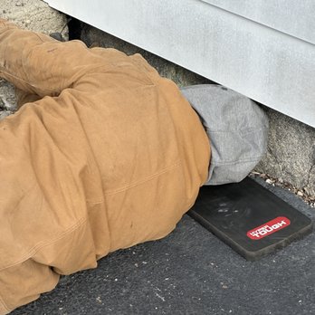 TDHP Wildlife Control - Pest Control Near Me TDHP Wildlife Control - Pest Control Near Me