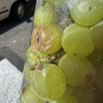 Mellis Cafe - Moldy grapes - Coffee & Tea Near Me - San Francisco, California Mellis Cafe - Moldy grapes - Coffee & Tea Near Me - San Francisco, California