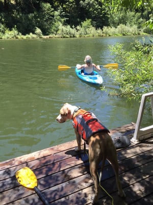 Russian River Getaways by null