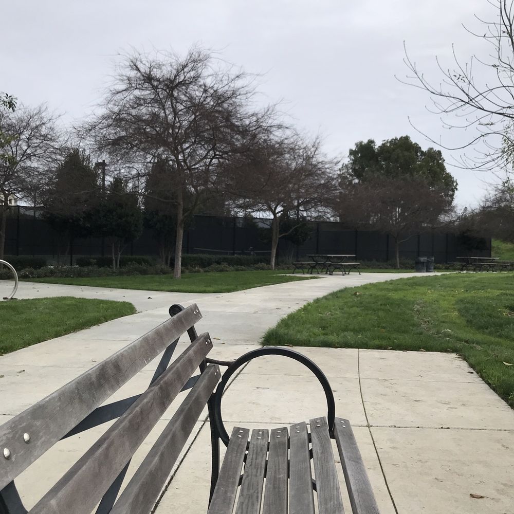 River View Park - Tennis courts behind the trees - Parks Near Me - San Jose, California River View Park - Tennis courts behind the trees - Parks Near Me - San Jose, California