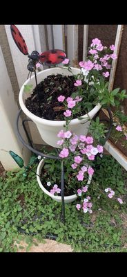 Home Services at the Home Depot