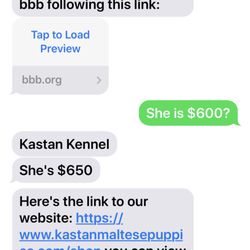 Kastan Maltese Puppies - Screenshot of my text conversation with this scam artist!