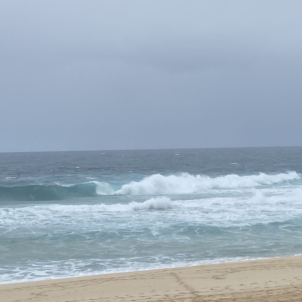 Ehukai Beach Park - Parks Near Me - Haleiwa, Hawaii Ehukai Beach Park - Parks Near Me - Haleiwa, Hawaii