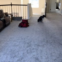 Carpet Bazaar