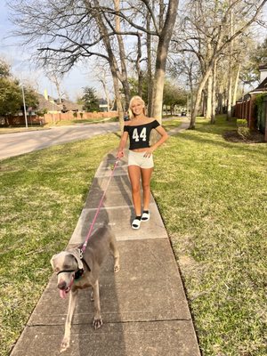 MI Dog Walkers of Sienna