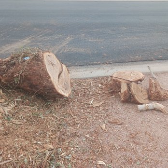 Arizona Yard Maintenance - The huge stumps - Tree Services Near Me Arizona Yard Maintenance - The huge stumps - Tree Services Near Me