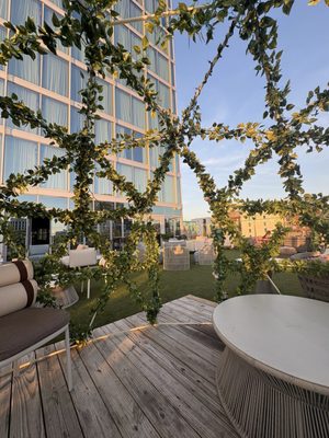 Thistle and Rye by null