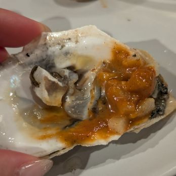 Mandrake - Oysters on the half shell. $27. The oysters were still attached to their shells. - Tapas/Small Plates Near Me - Geneva, Illinois