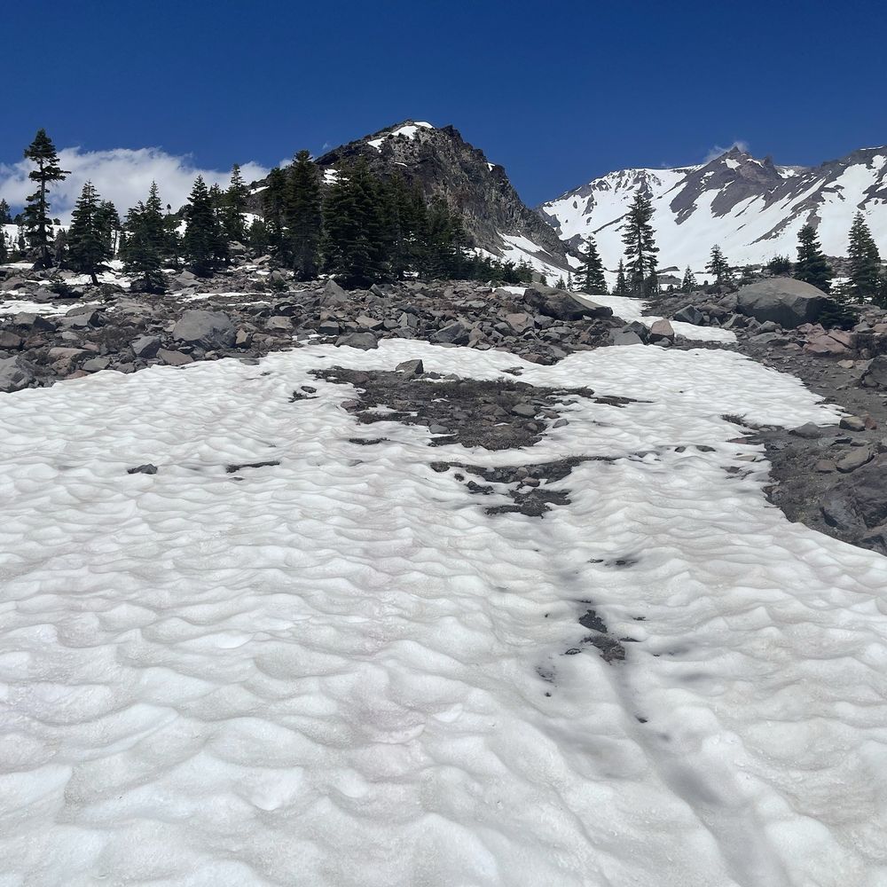 Bunny Flat Trail - Hiking Near Me - Mount Shasta, California