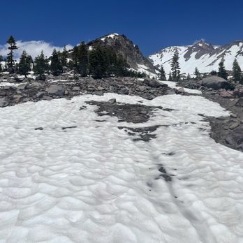 Bunny Flat Trail - Hiking Near Me - Mount Shasta, California