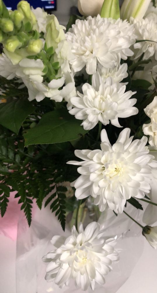 FLOWER STORY Updated August 2024 Toronto, Ontario Florists