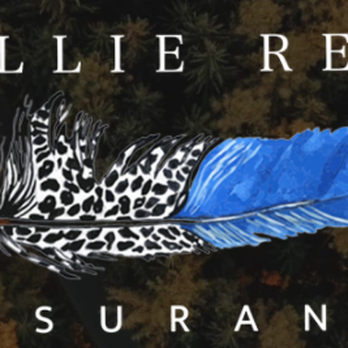 Kellie Reed Insurance - Kellie Reed Medicare specialist - Life Insurance Near Me Kellie Reed Insurance - Kellie Reed Medicare specialist - Life Insurance Near Me