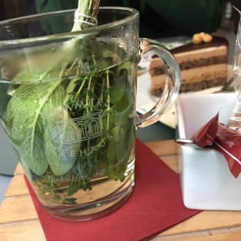 Landtmann's Parkcafé - Herbal tea - Cafes Near Me - Vienna, 9 Landtmann's Parkcafé - Herbal tea - Cafes Near Me - Vienna, 9