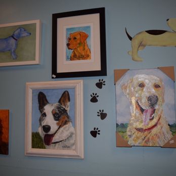 The Bark Spot - Pet Stores Near Me - Flagler Beach, Florida The Bark Spot - Pet Stores Near Me - Flagler Beach, Florida