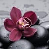 Harmony Pilates Studio gift card
