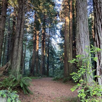 Trinidad Inn - This leads to a trail. - Hotels Near Me - Trinidad, California