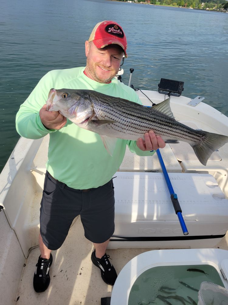Tight Lines Guide Service Logo