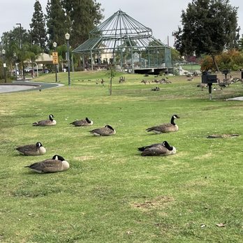 Almansor Park - Parks Near Me - Alhambra, California