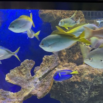 Discovery Place Science - Museums Near Me - Charlotte, North Carolina