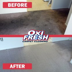 Oxi Fresh Carpet Cleaning