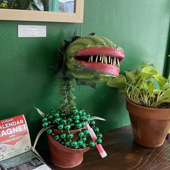 Undergrowth Coffee - Venus fly trap (not real!) - Coffee & Tea Near Me - New Orleans, Louisiana Undergrowth Coffee - Venus fly trap (not real!) - Coffee & Tea Near Me - New Orleans, Louisiana