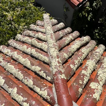 BlueBird Window Cleaning  - Before tile roof clean. - Window Washing Near Me