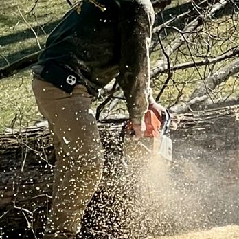 Westchester Environmental Tree Service - Professional Tree Worker - Tree Services Near Me - Somers, New York Westchester Environmental Tree Service - Professional Tree Worker - Tree Services Near Me - Somers, New York