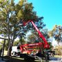 Photo of Tree Care by Robert Miller