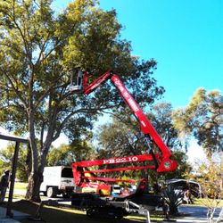 Tree Care by Robert Miller