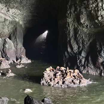 Sea Lion Caves - Active Life Near Me - Florence, Oregon Sea Lion Caves - Active Life Near Me - Florence, Oregon