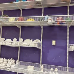 The Painted Penguin - $14 wall
