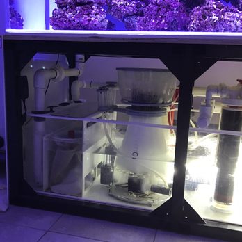 Aquatic Designs - Aquarium Services Near Me - Sacramento, California