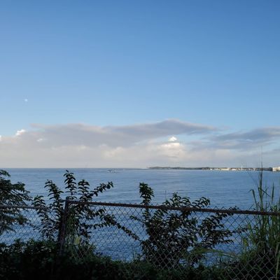 Hale Kai Hawaii Suites - Oceanfront Hilo Lodging by null