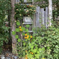 Gloryview Farm