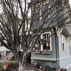 The Spite House