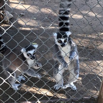 Wildlife Learning Center - Zoos Near Me - Sylmar, California