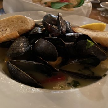 Cove Marina - Mussel - Marinas Near Me - Deerfield Beach, Florida