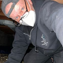 NMN Royal Home Inspection - Crawlspace inspection