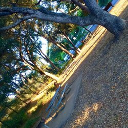 Escondido Park - Picnic bench areas with grills and trash + recycle bins