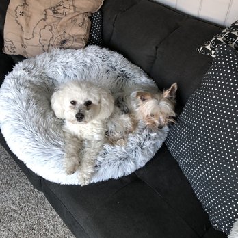 The Woofhaus - Pet Groomers Near Me - Denver, Colorado