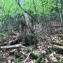 Photo of Nationalparkverwaltung Sächsische Schweiz