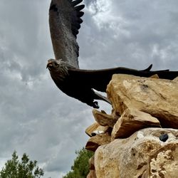 Dennis Weaver Memorial Park - August 13, 2026 - Beautiful from every angle.