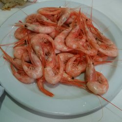 Quisquillas