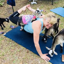 Namaste All Day Yoga - Goat Yoga