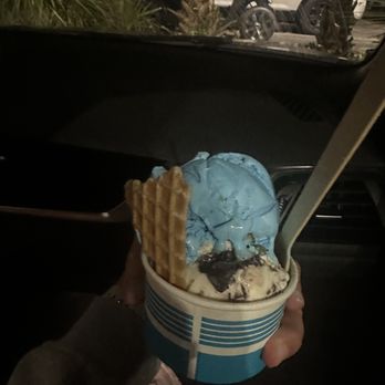 Melt - Cookie monster and moose tracks - Ice Cream & Frozen Yogurt Near Me - North Myrtle Beach, South Carolina