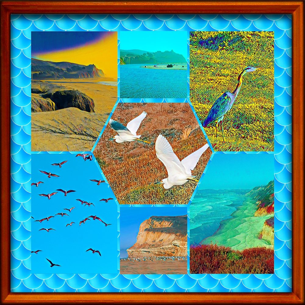 Montage of images from San Gregorio State Beach Montage of images from San Gregorio State Beach