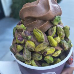 Chocolate frozen yogurt Chocolate frozen yogurt