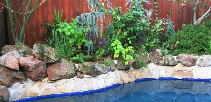 Slide of Sukin Development