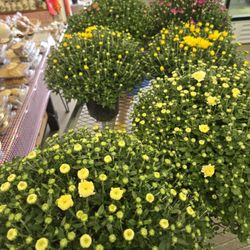 Spoth's Farm Market