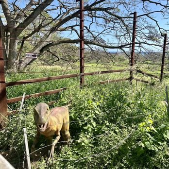 Kualoa Ranch - Tours Near Me - Kaneohe, Hawaii
